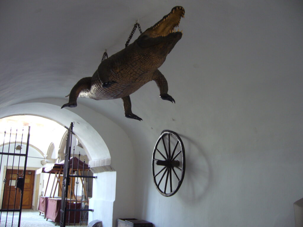 A crocodile hangs from an arched ceiling in an arcade joining two streets in Brno