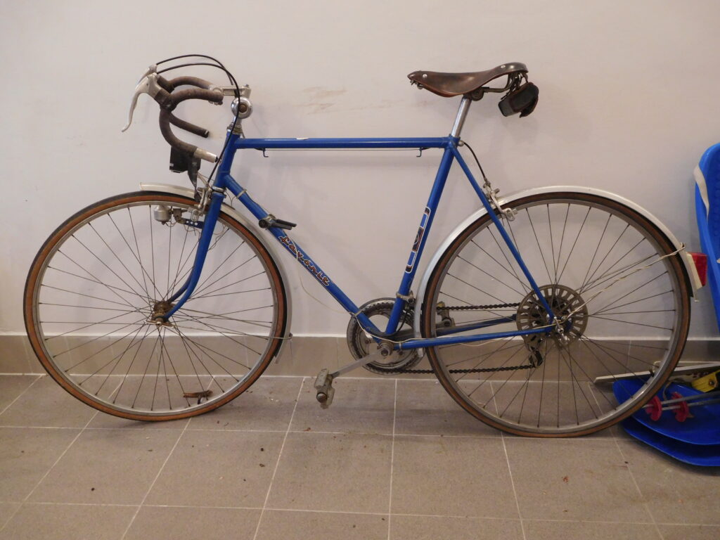 A blue Favorit kolo leans against a wall