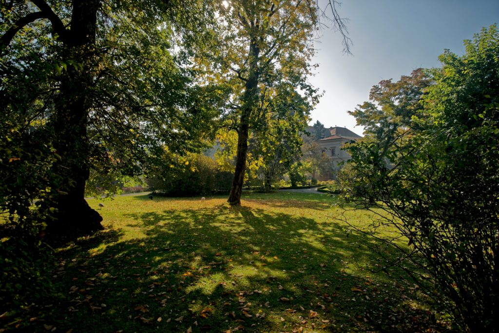 A chateau can be seen through gardens and trees