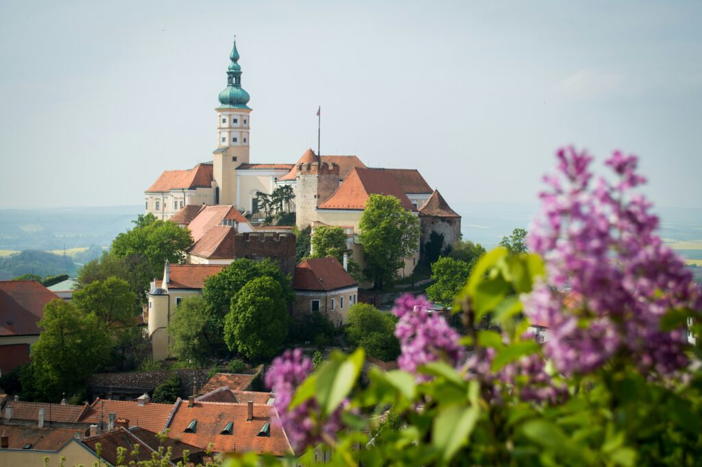 A Czech chateau can be seen on top of a hill, through some pink and purple flowers