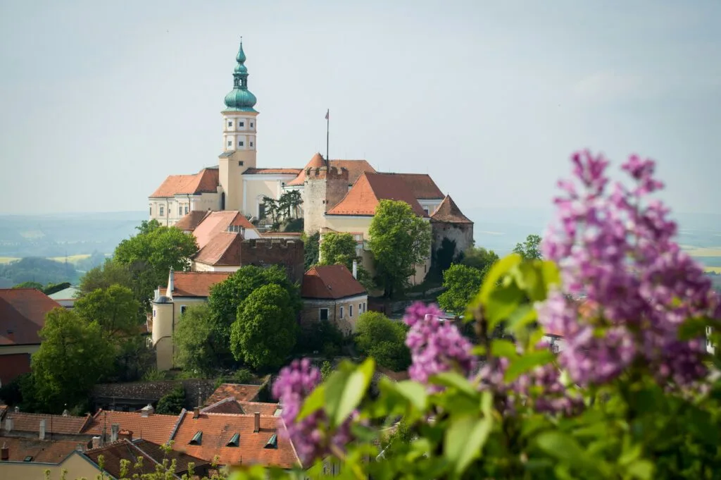 A Czech chateau can be seen on top of a hill, through some pink and purple flowers. Wheely Tyred Mikulov Top attractions