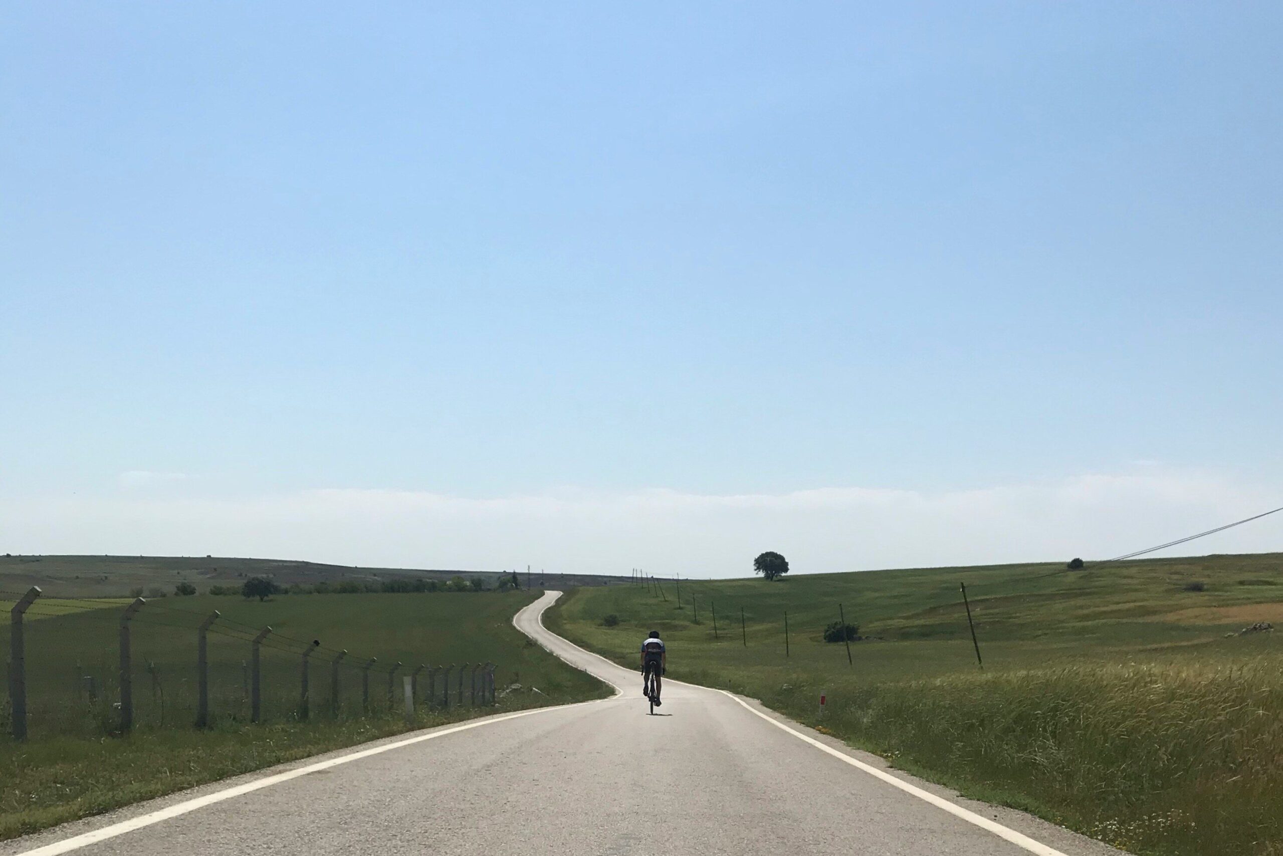 A person rides a bike along a undulating road through fields into the distance. A single tree is on the horizon.