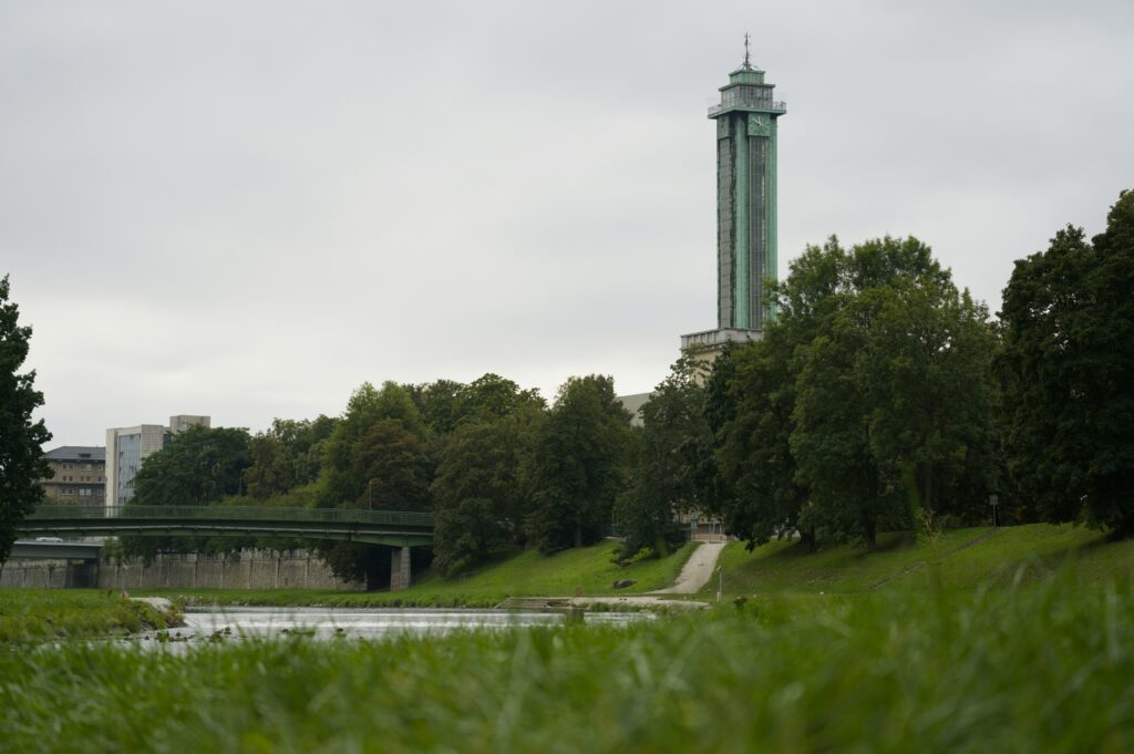 The tower of New City Hall rises over some large trees
