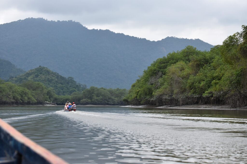 The view from a boat tour in the Manglares Churute nature reserve in the southwest of Ecuador.