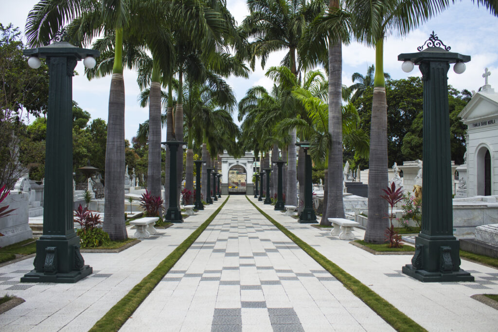 A white boulevard in Cementerio General, Guayaquil, Ecuador.