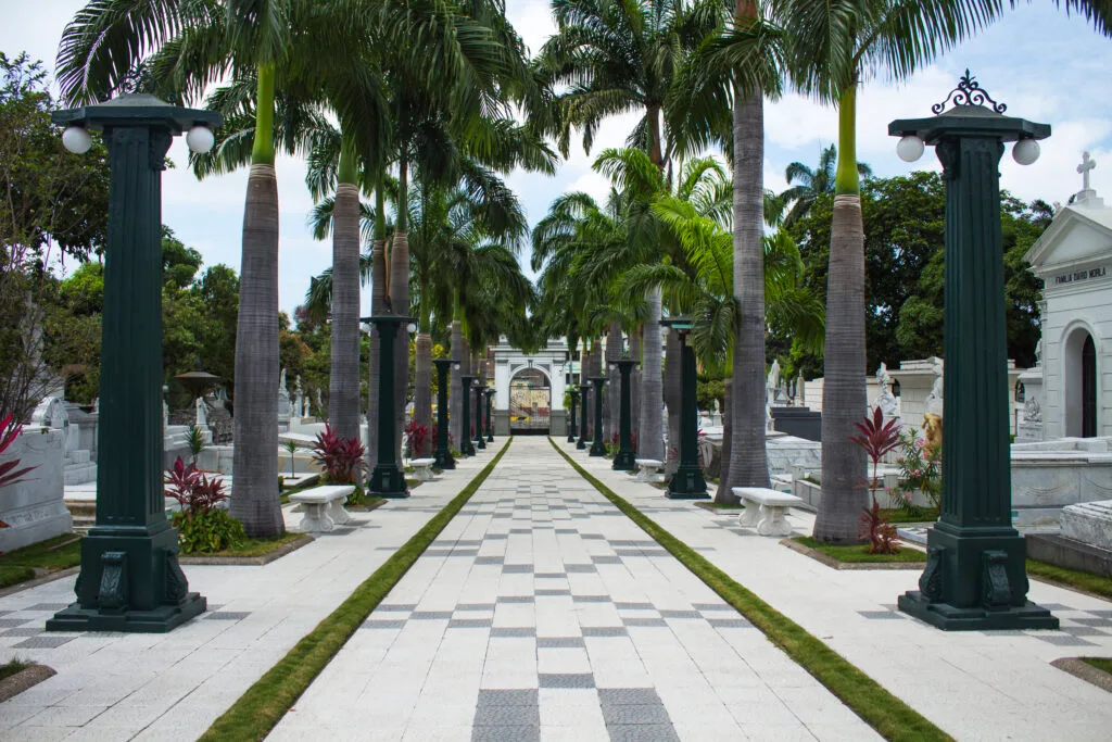 A white boulevard in Cementerio General, Guayaquil, Ecuador.