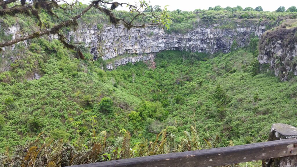 One of Los Gemelos, a massive sinkhole on Santa Cruz Island, is filled with forest.