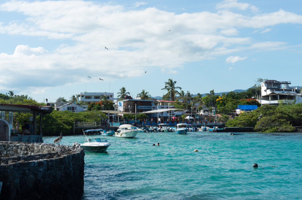 Blue water fills the harbour in Puerto Ayora, with small boats floating in it