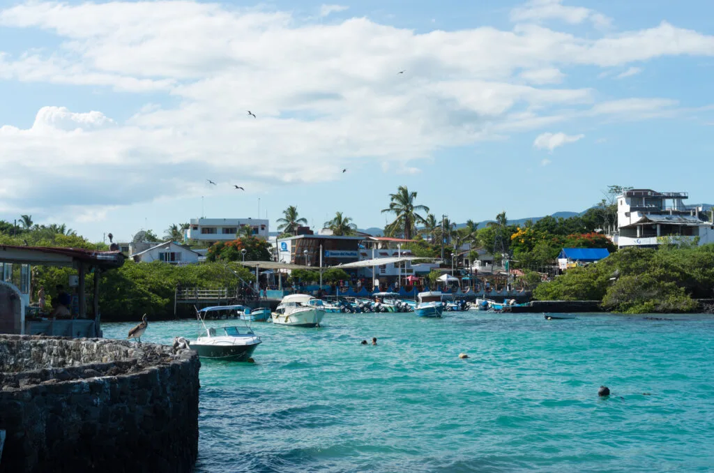 Blue water fills the harbour in Puerto Ayora, with small boats floating in it