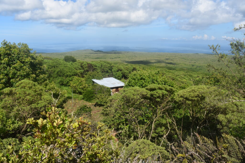 A hut on Floreana Island near Asilo de la Paz is surrounded by forest.