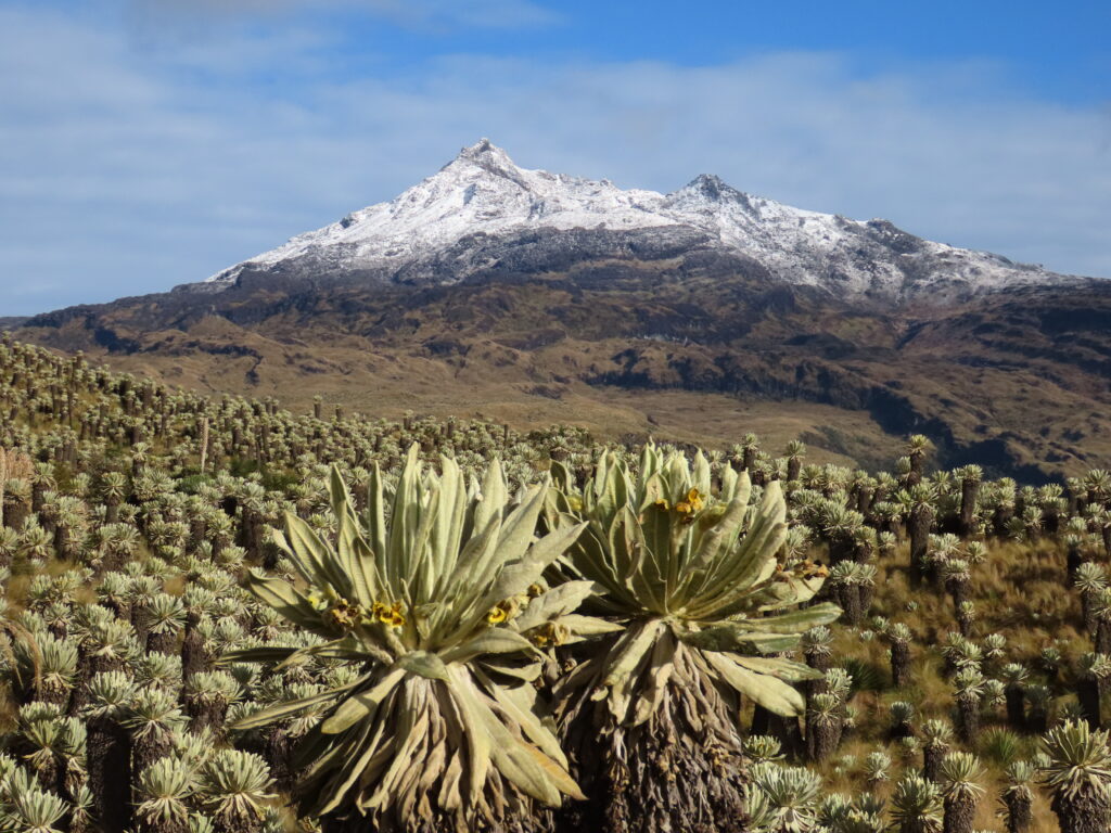 Volcán Chiles and the Angel Nature reserve in the páramo near Tulcán