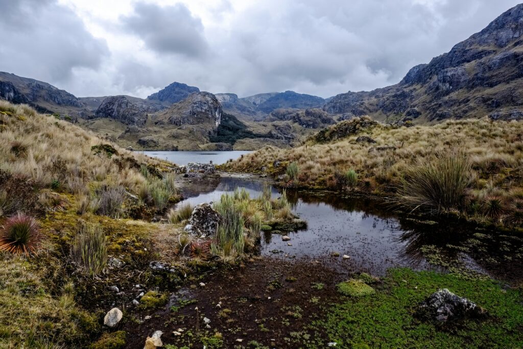 A mountain rises over a bog and lake in Cajas National Park, near Cuenca, Ecuador.