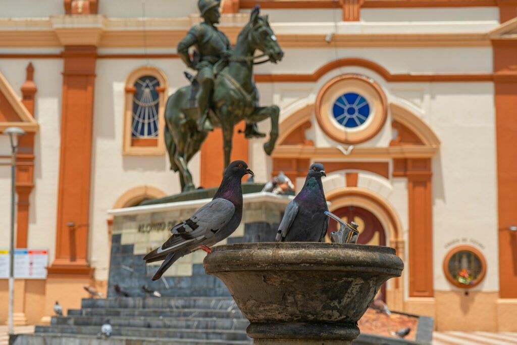 Pigeons sit in a fountain in front of a statue in Loja, Ecuador.