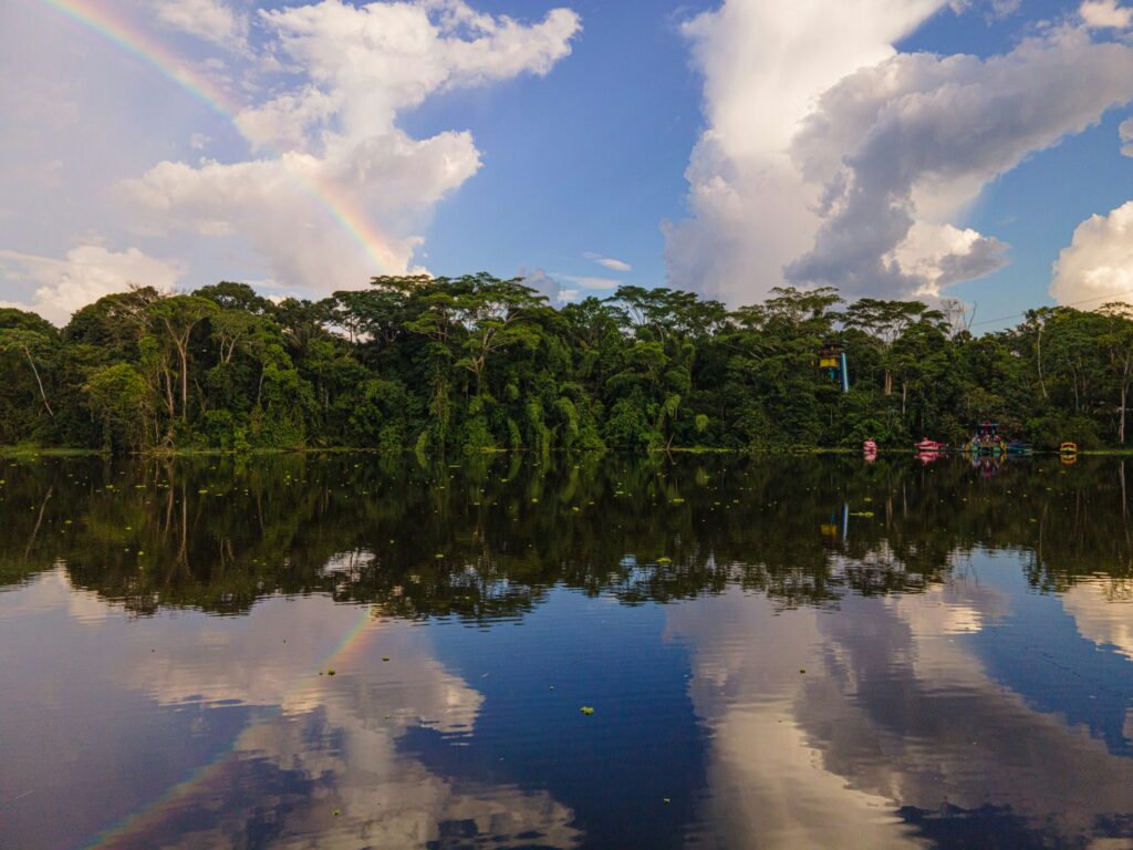 The tree line of the Amazon where it meets a lake, near Lago Agrio, Nueva Loja, Ecuador. Wheely Tyred history of the Ecuadorian Amazon