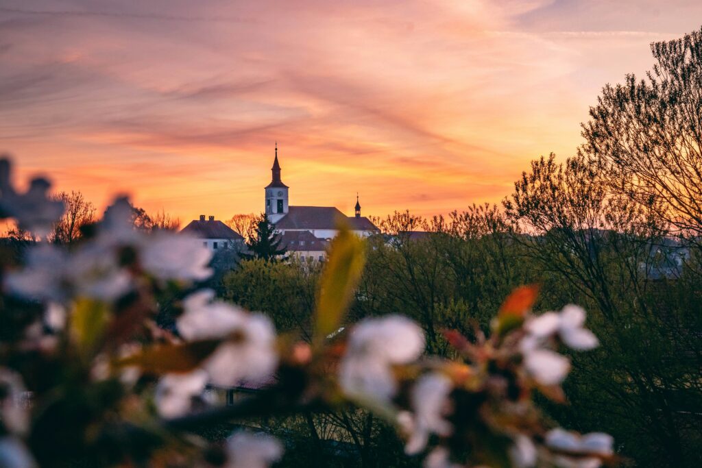 The sun rises over flowers and the church in Strmilov, Czechia.