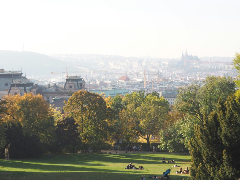 Autumn leaves fill a park in Prague. The castle can be seen in the distance.