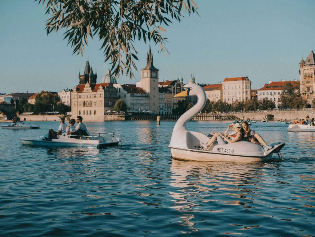 Swan shaped pedalos float along the Vltava River in Prague on a sunny day.