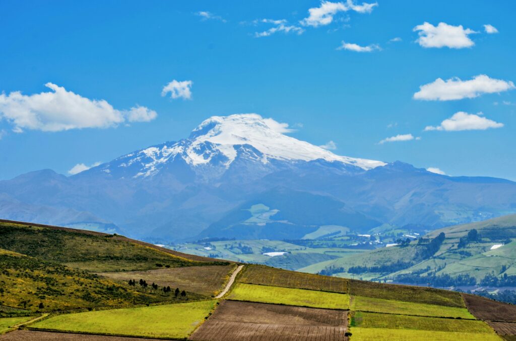 the snow topped Cayambe Volcano rises out of green fields into a blue sky.