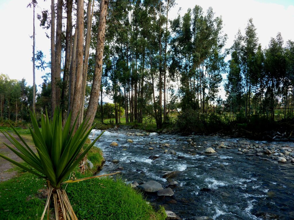 The Rio Tomebamba gushes through the centre of Cuenca, Ecuador.
