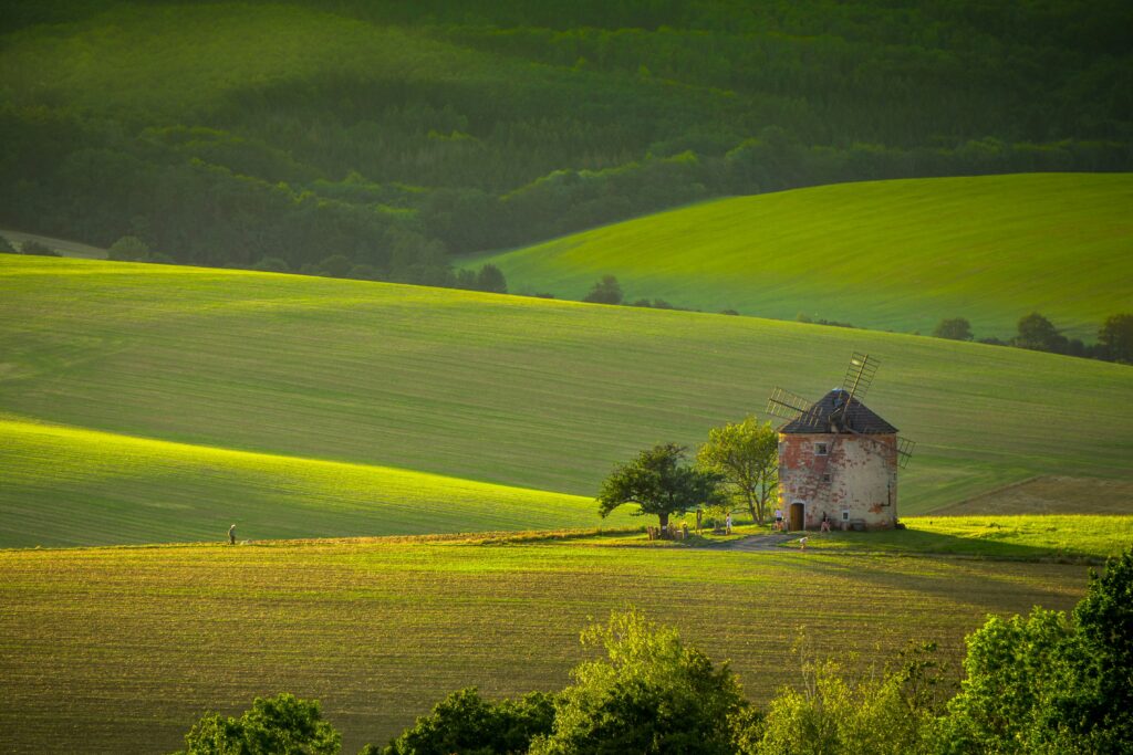 A man and his dog walk through green fields covering rolling hills near Kunkovice, Moravia, Czechia. There's an ancient windmill.