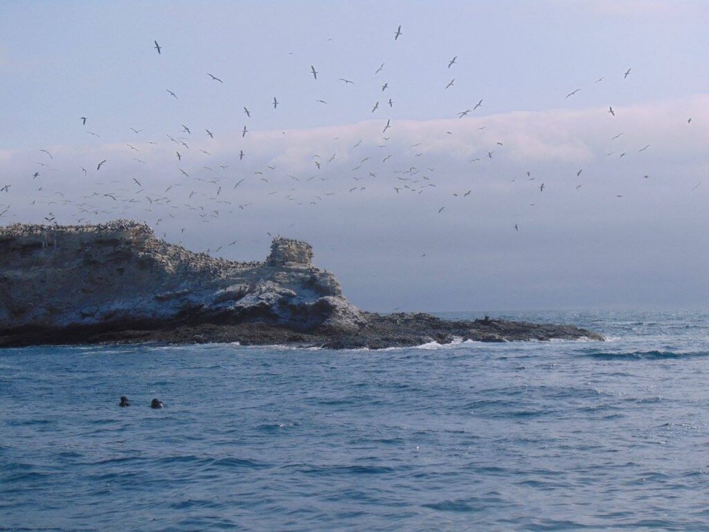Thousands of birds flay above the Pacific Ocean and El Pelado, Islet, Ecuador.