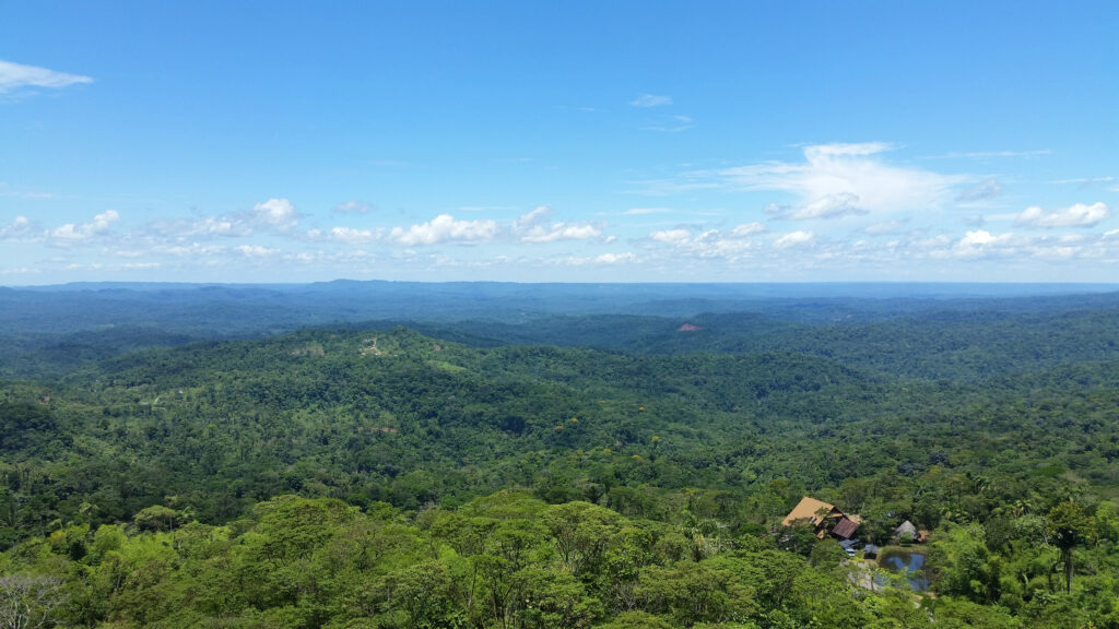 The green trees of the Amazon Rainforest stretch into the distance in the Pastaza Valley, near Puyo, Ecuador.