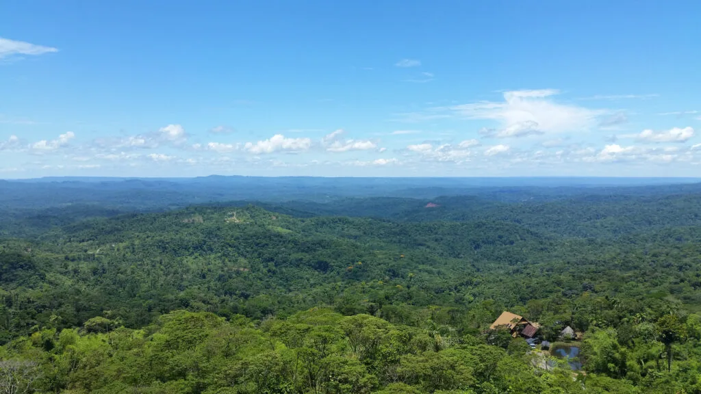 The green trees of the Amazon Rainforest stretch into the distance in the Pastaza Valley, near Puyo, Ecuador.