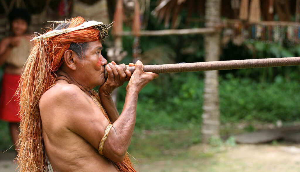 	A Yagua (Yahua) tribeman demonstrating the use of blowgun (blow dart), at one of the Amazonian islands near Iquitos, Peru.