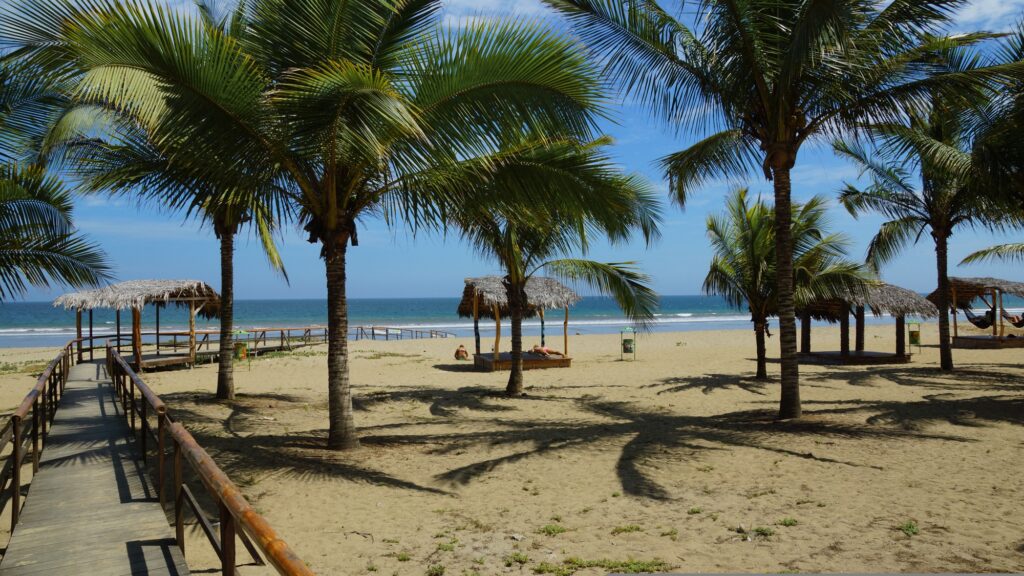 Beach huts under palm trees beside the Pacific Ocean in Puerto Lopez, Ecuador.