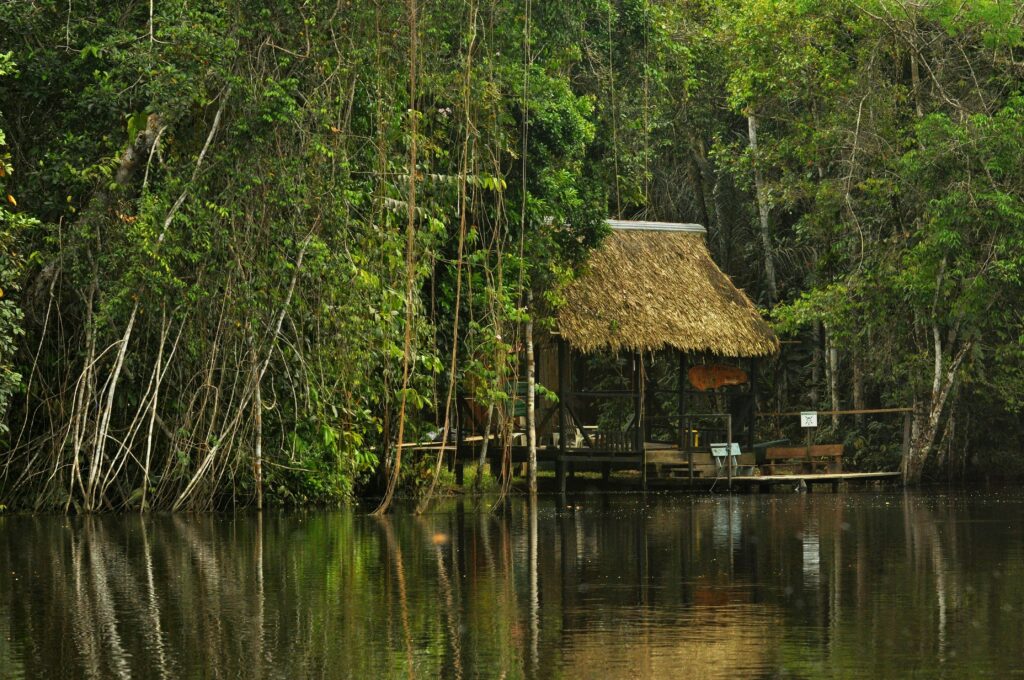 A thatched hut on the side of a lake in the Amazon Rainforest. It's surrounded by huge plants, in Ecuador. Wheely Tyred best things to do in Cuyabeno