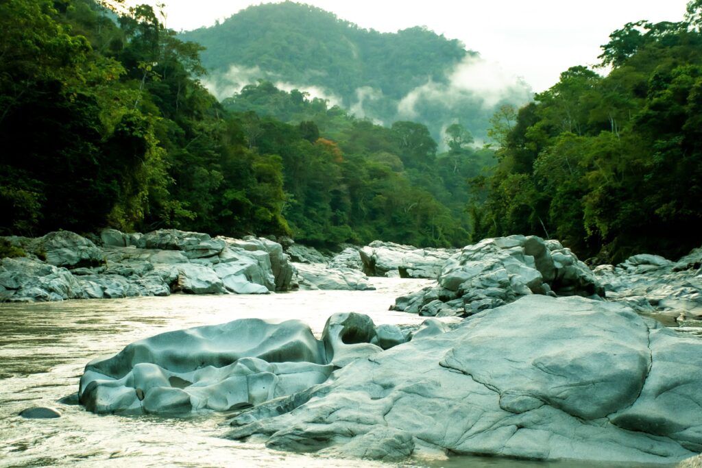 A river runs through the green trees of the Ecuadorian, Amazon. Wheely Tyred history of Tena