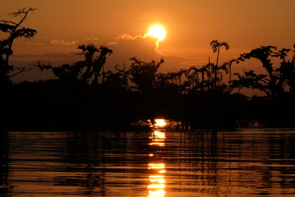 The sun sets over a lake in the Amazon rainforest. The huge trees are silhouettes and everything is bathed in orange light in Ecuador. Wheely Tyred best things to do in Cuyabeno