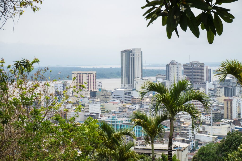 A city in Ecuador can be seen rising out through some tropical trees. Wheely Tyred food & drink in Guayaquil