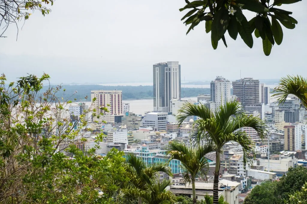 A city in Ecuador, can be seen rising out through some tropical trees. Wheely Tyred best Guayaquil bus tours