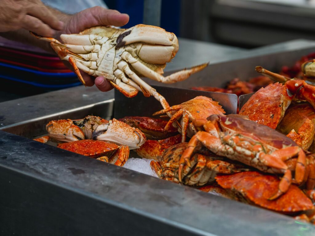 Red crabs on ice in a seafood market. Wheely Tyred Traditional Ecuadorian food