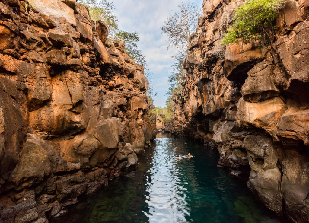 A body of water sits between two cliffs in a volcanic canyon called Las Grietas, on Santa Cruz Island in the Galápagos.