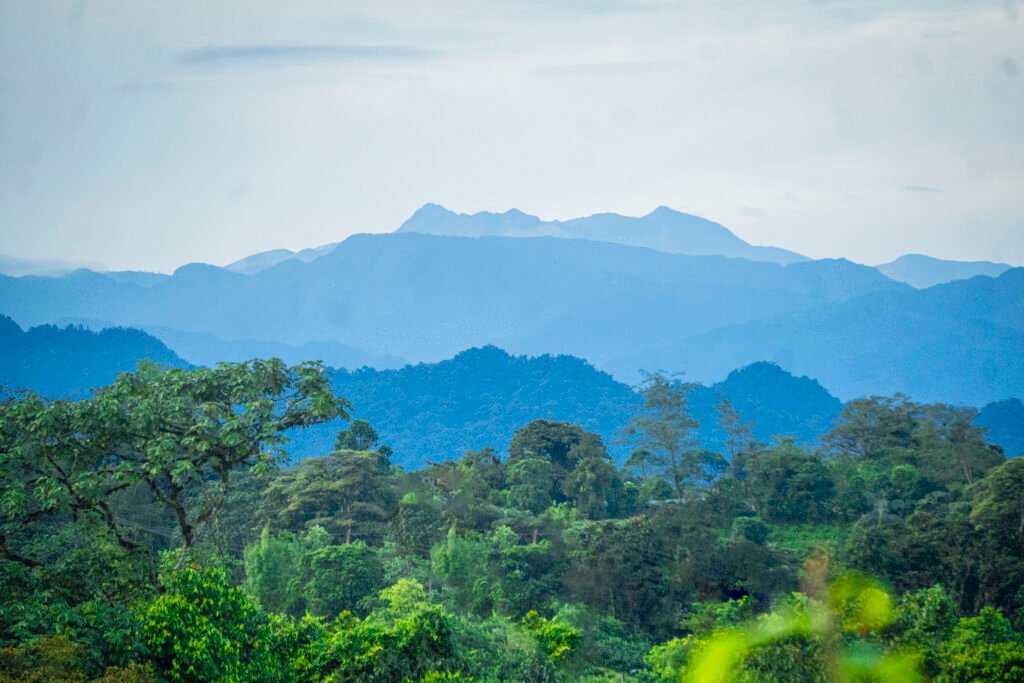 Ridges of forested mountains stretch into the distance in Mindo, Ecuador