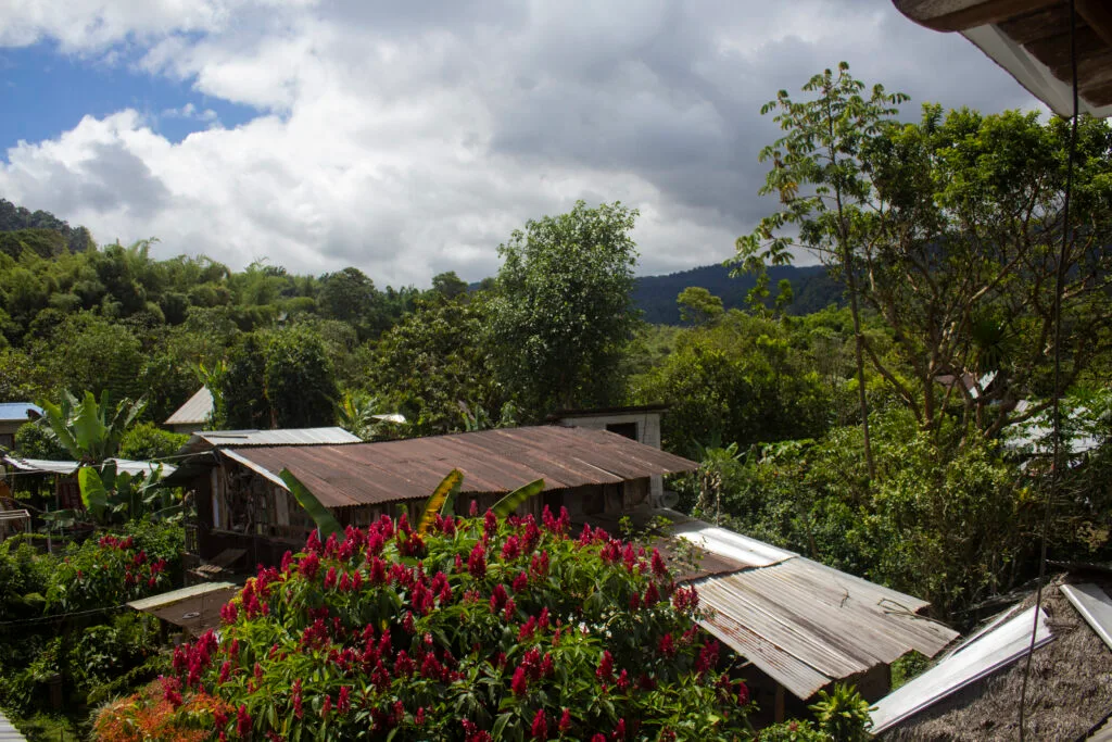 Houses and flowers can be seen surrounded by cloud forest in Mindo, Ecuador