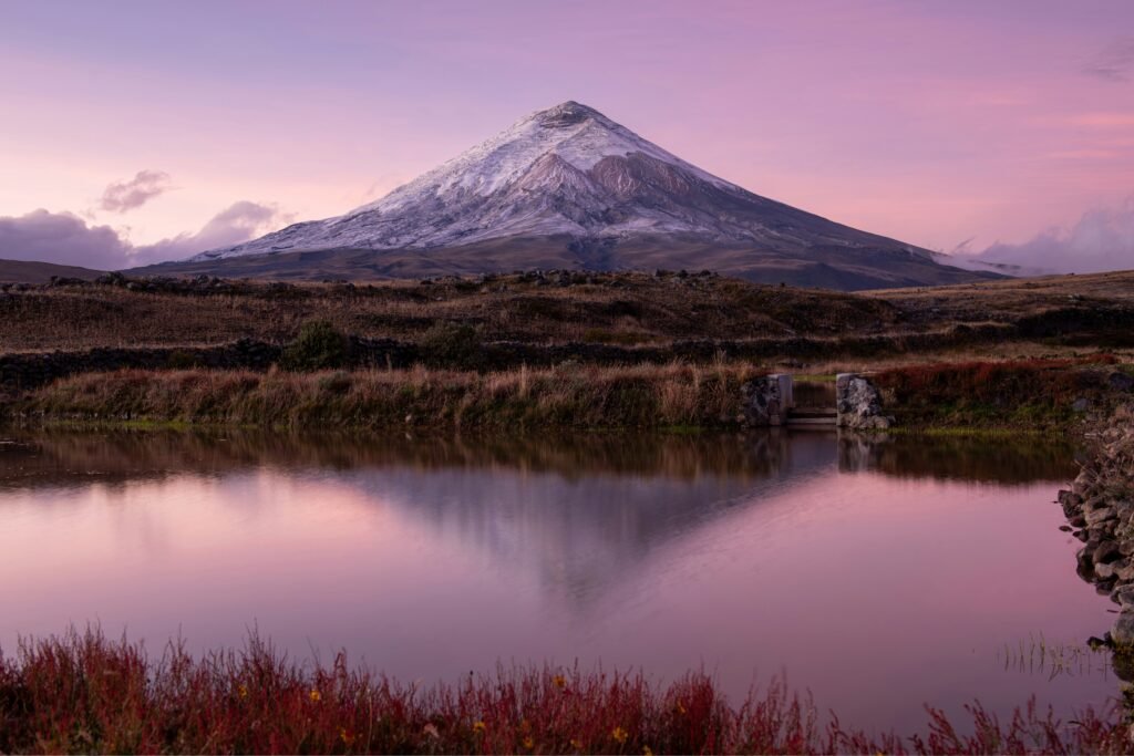 Cotopaxi Volcano is reflected in a still Laguna de Limpiopungo at sunset in Ecuador.