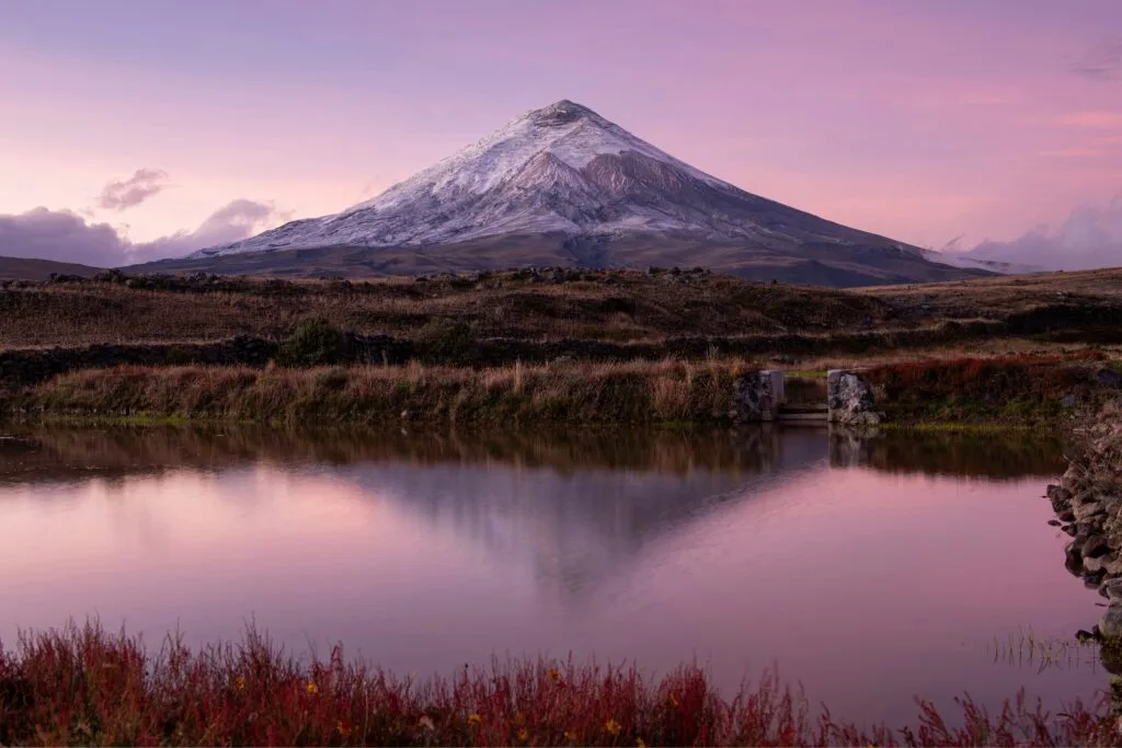 Cotopaxi Volcano is reflected in a still Laguna de Limpiopungo at sunset in Ecuador.