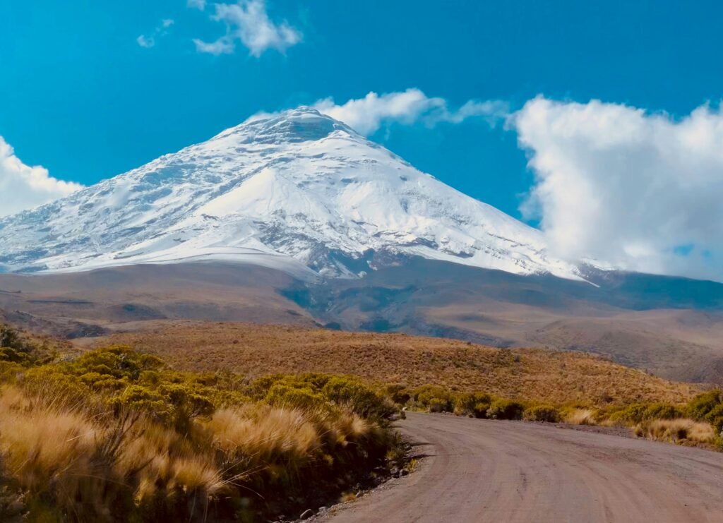 The snowcapped Cotopaxi Volcano towers over the páramo under blue skies in Ecuador.