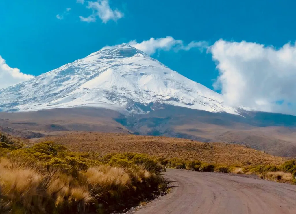 The snowcapped Cotopaxi Volcano towers over the páramo under blue skies in Ecuador.