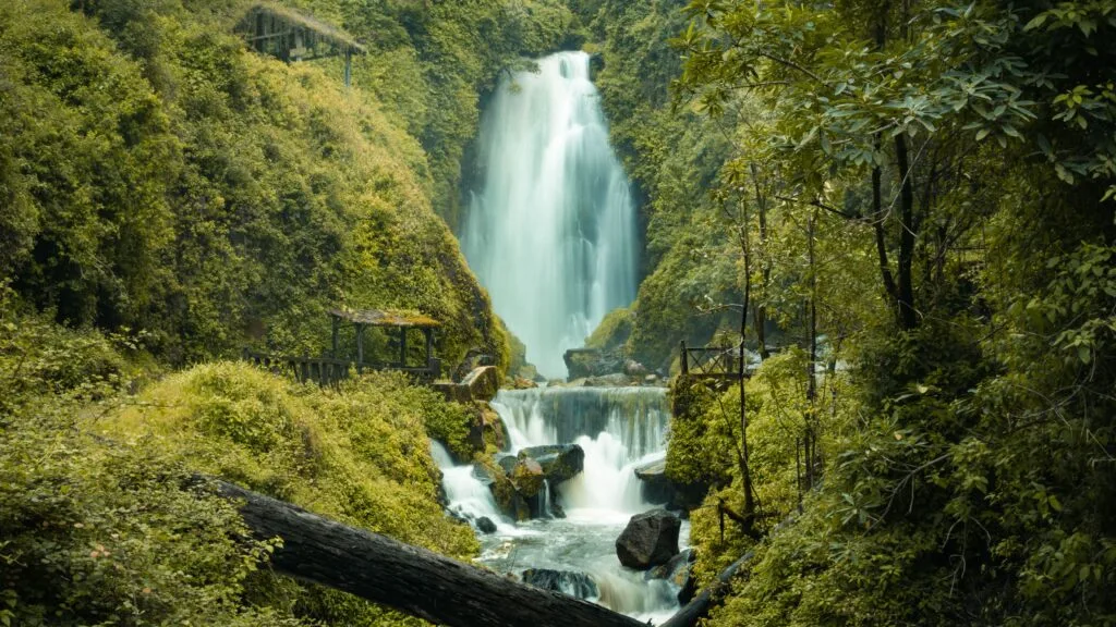 A waterfall tumbles through the cloud forest in Ecuador