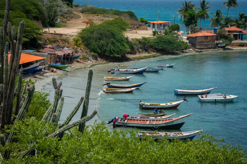 Small boats and launches float in a bay surrounded by plam trees.
