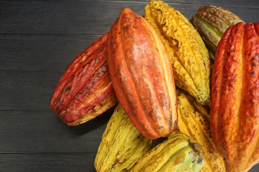 Red and yellow cacao beans on a wooden table