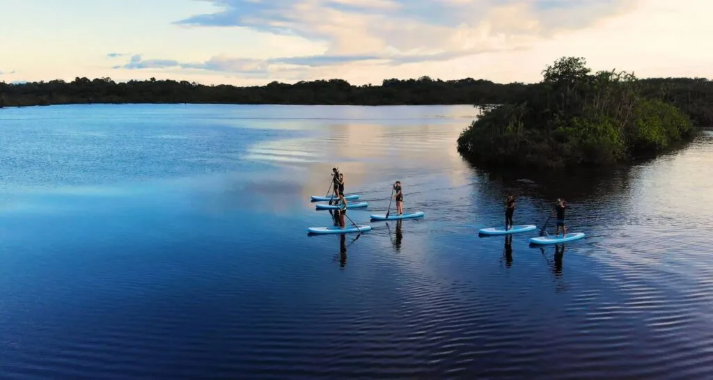 A group of people paddleboard along a river so still it’s like a mirror in the Amazon, in Ecuador. Wheely Tyred Best Cuyabeno multi-day tours