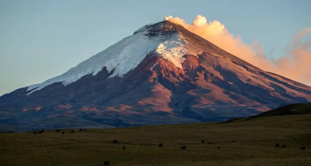 Cotopaxi volcano at sunrise, with smoke rising out of its snowcapped cone.