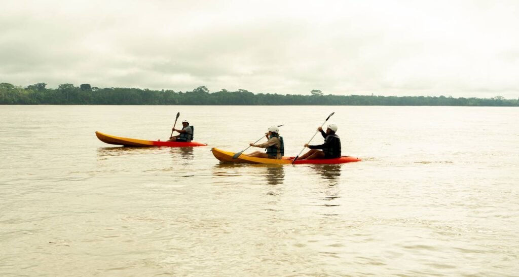 A small group of people kayak on a river in the Amazon, in Ecuador. Wheely Tyred Best Yasuní National Park multi-day tours