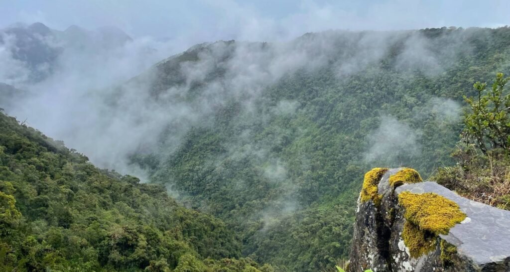 A valley of forest full of clouds near Mindo, Ecuador