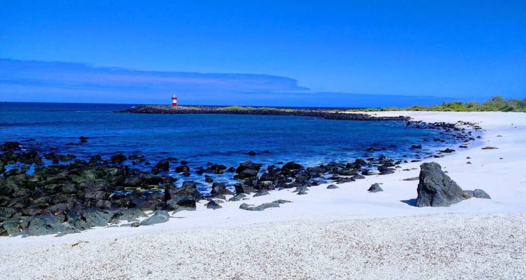 An empty beach of white sand, blue sea and sky, and a small read and white lighthouse on Isla Isabela, Galápagos